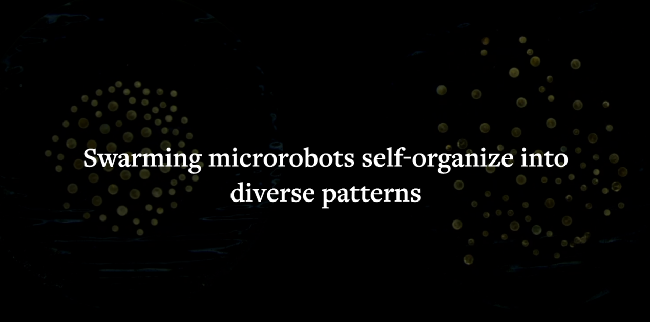 <b>成群结队的微型机器人自己组织成不同的模式</b>
